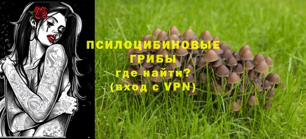 бошки Алзамай