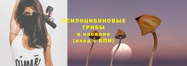 прущий лед Алексеевка