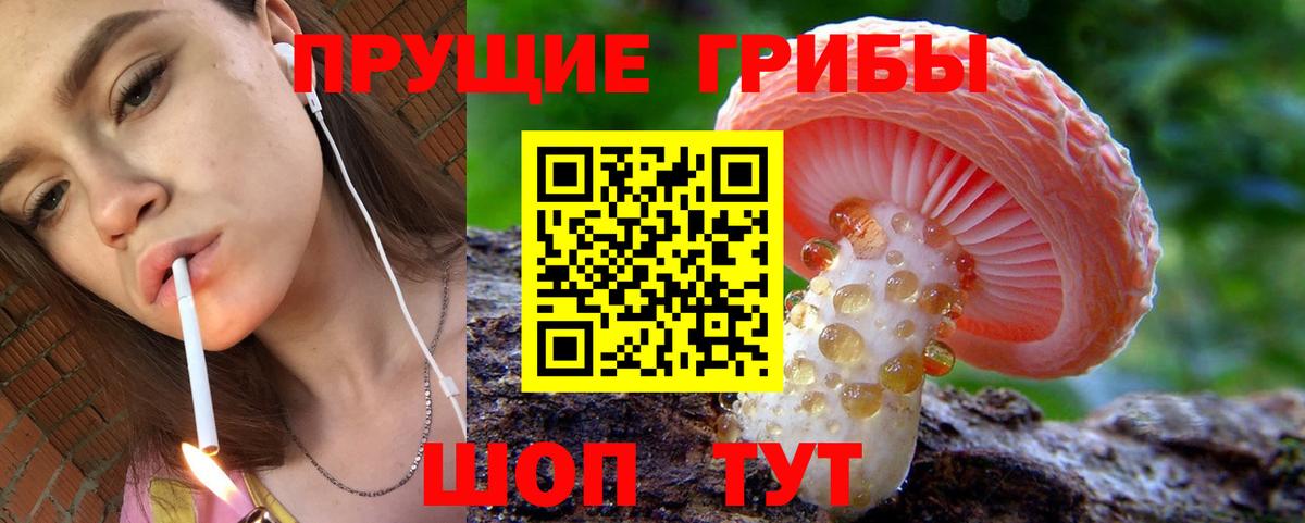 Псилоцибиновые грибы Magic Shrooms  Галлюциногенные грибы MAGIC MUSHROOMS  Вход с VPN  Карасук 