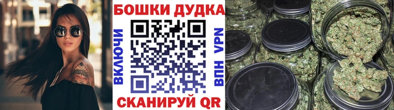 наркота  Карасук  Шишки марихуана Amnesia 